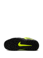 X Supreme Sb Darwin Low Volt Sneakers