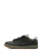 Sb Dunk Low Pro B Sneakers